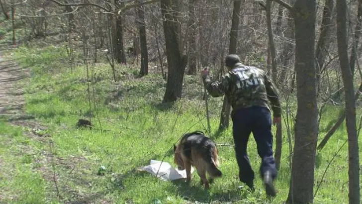 Bătrână de 82 de ani, căutată de zeci de persoane după ce a dispărut de pe imașul din fața locuinței