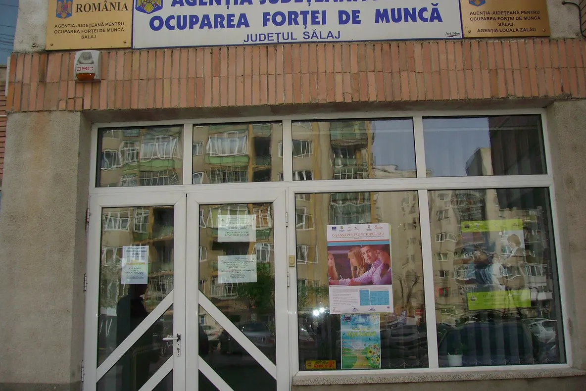 11.600 de șomeri înregistrați în evidențele AJOFM Suceava