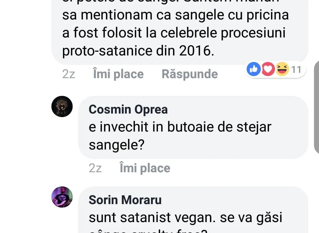 Val de ironii după ce s-a cerut interzicerea Bucovina Rock Castle pentru satanism
