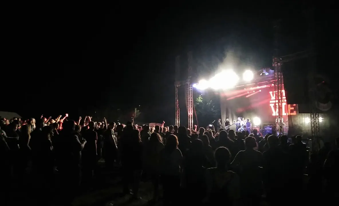 VIDEO Adi Despot, fanilor care scandau M**e PSD: „E o chestie periculoasă”