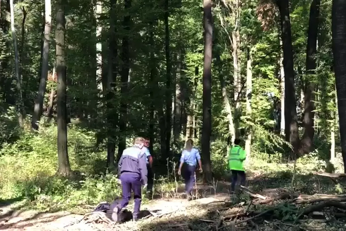 Sfârșit tragic pentru un sucevean. A murit strivit de un copac FOTO