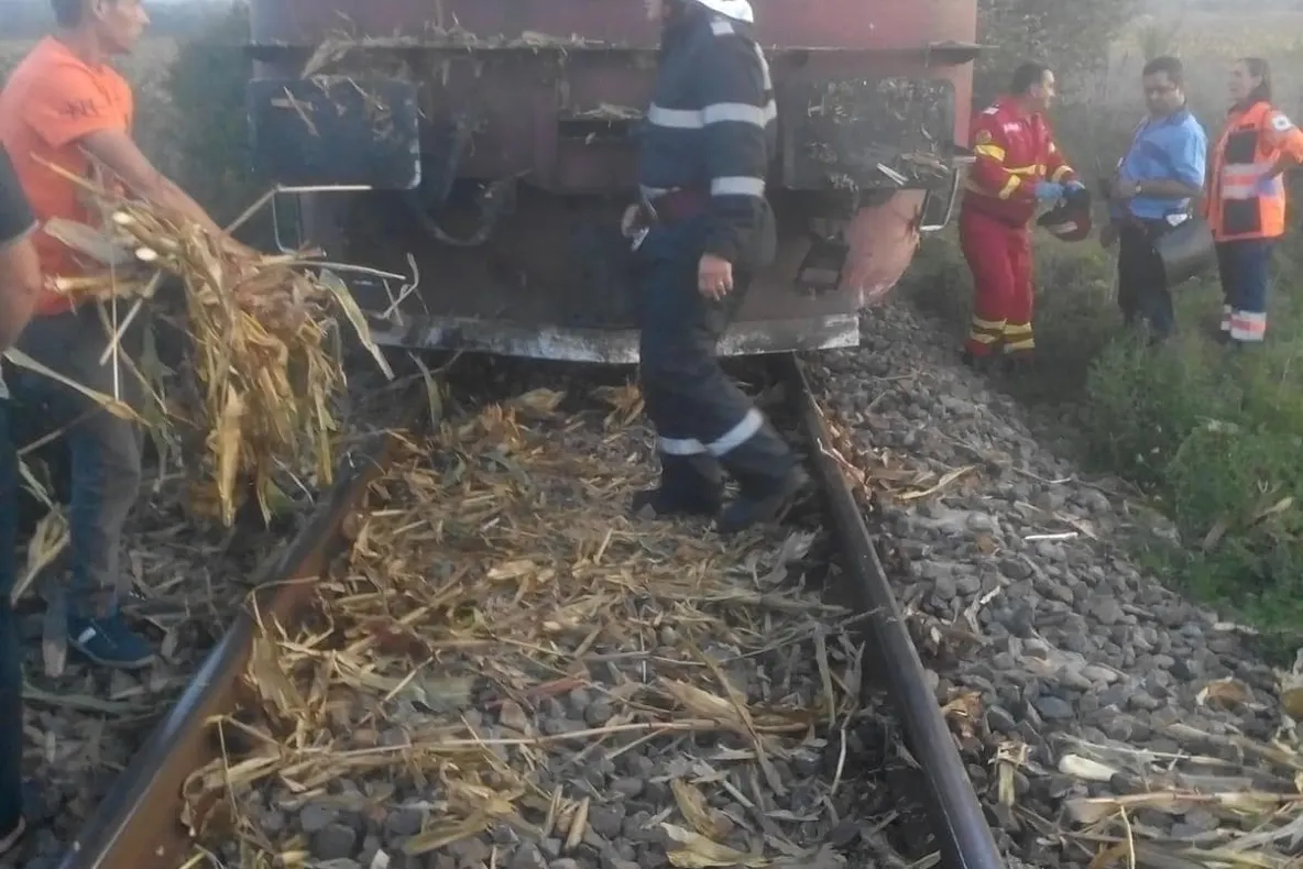 Opt ani de închisoare pentru femeia care a sărit cu copilul în brațe în fața trenului