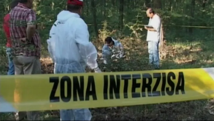 Un bărbat din Vama a murit după ce un copac a căzut peste el