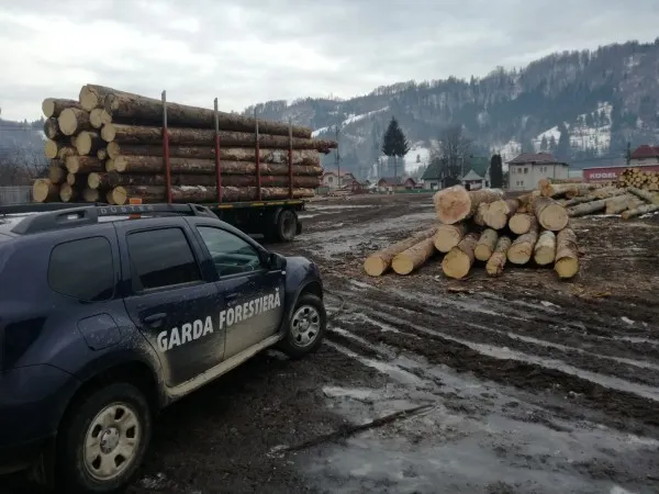 Două firme amendate de Garda Forestieră Suceava cu 25.000 lei