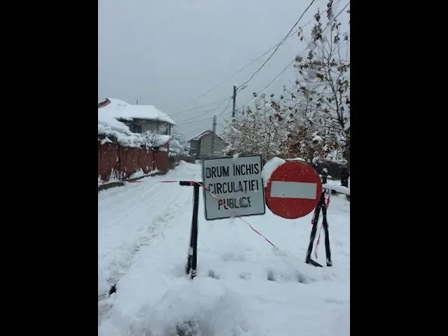 FOTO VIDEO Casă împodobită ca în povești, într-o localitate din Bucovina