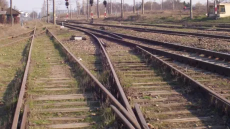 Doi frați au fost prinși în timp ce furau plăci de beton de la calea ferată