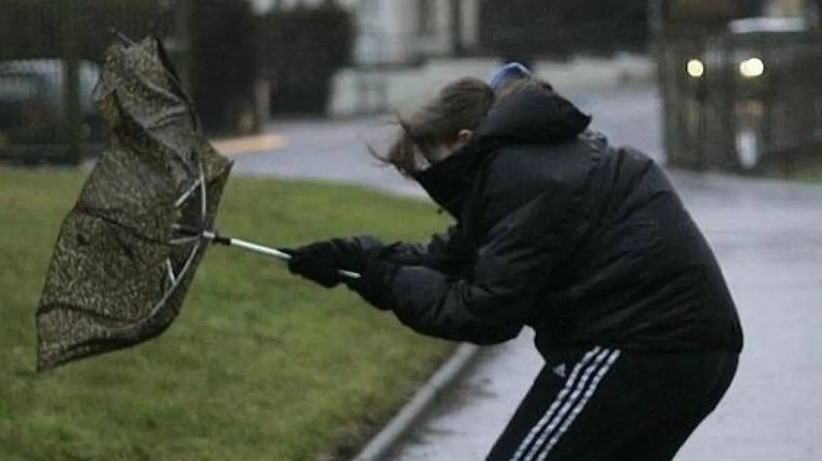 Cod galben de vânt pentru județul Suceava