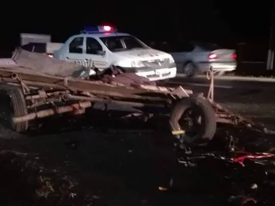 Un șofer beat a acroșat o căruță nesemnalizată