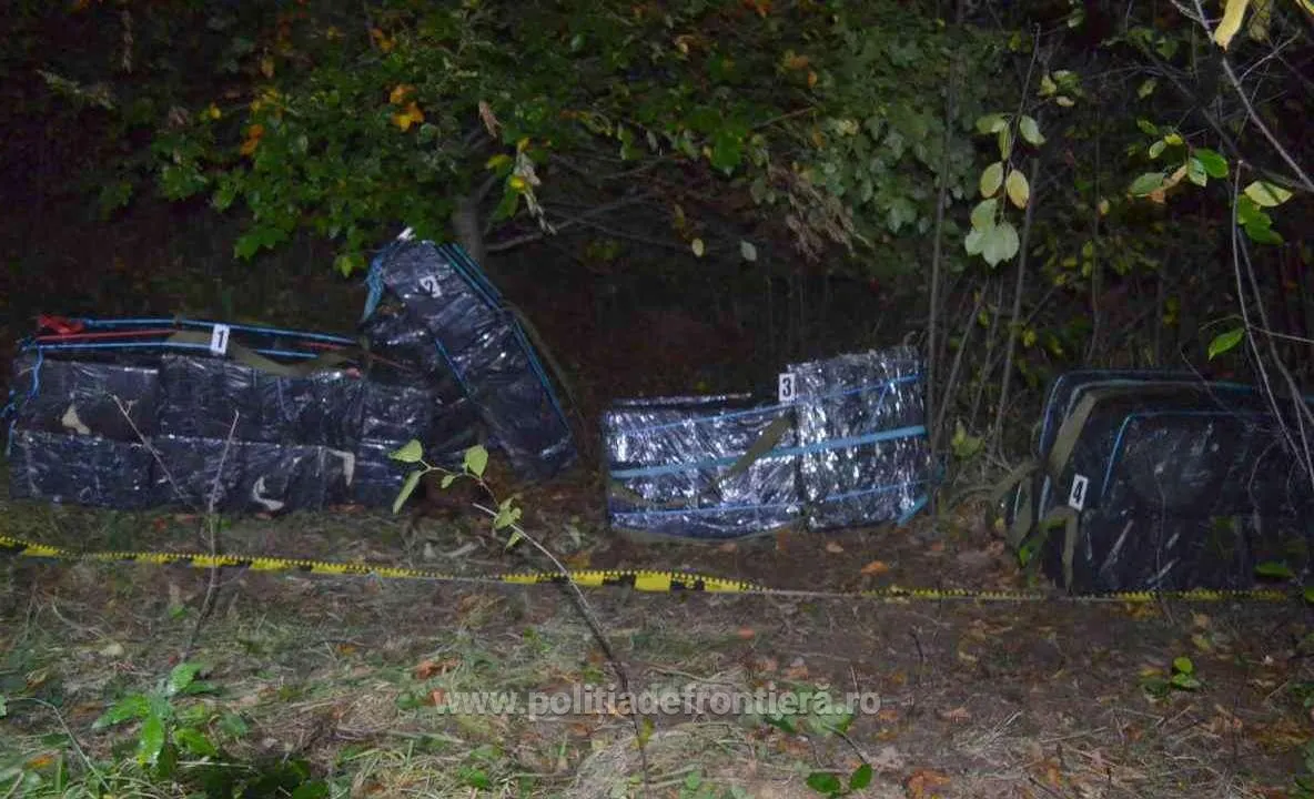 Focuri de armă și aproape 12.000 pachete cu țigări confiscate FOTO