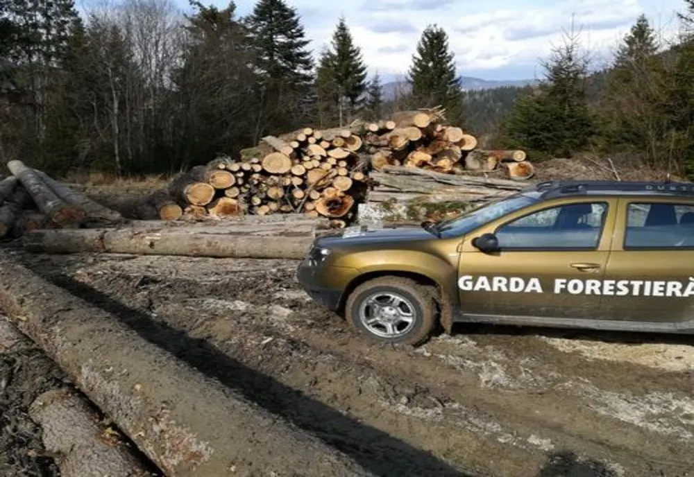 În două săptămâni, Garda Forestieră Suceava a aplicat sancțiuni contravenționale în valoare de 160.000 lei FOTO