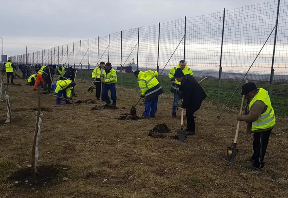 S-a dat startul campaniei de plantare de copaci în județul Suceava FOTO