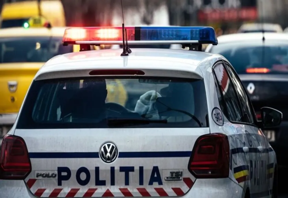Dosar penal pentru un bărbat prins cu 30 de arbori tăiați ilegal