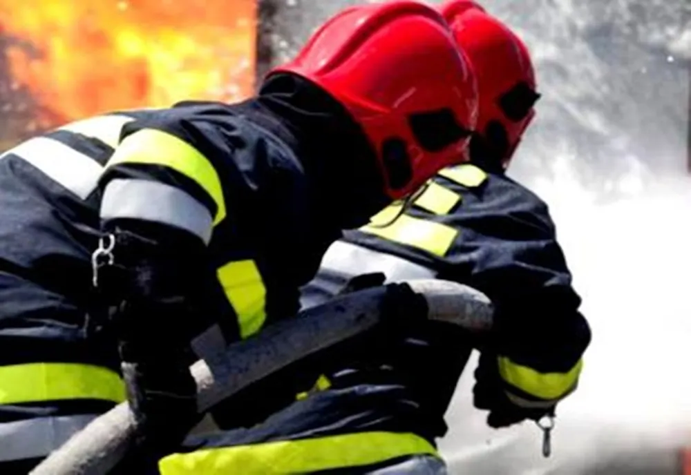 Animale moarte într-un incendiu în Cornu Luncii. Focul a fost stins după o intervenție de trei ore