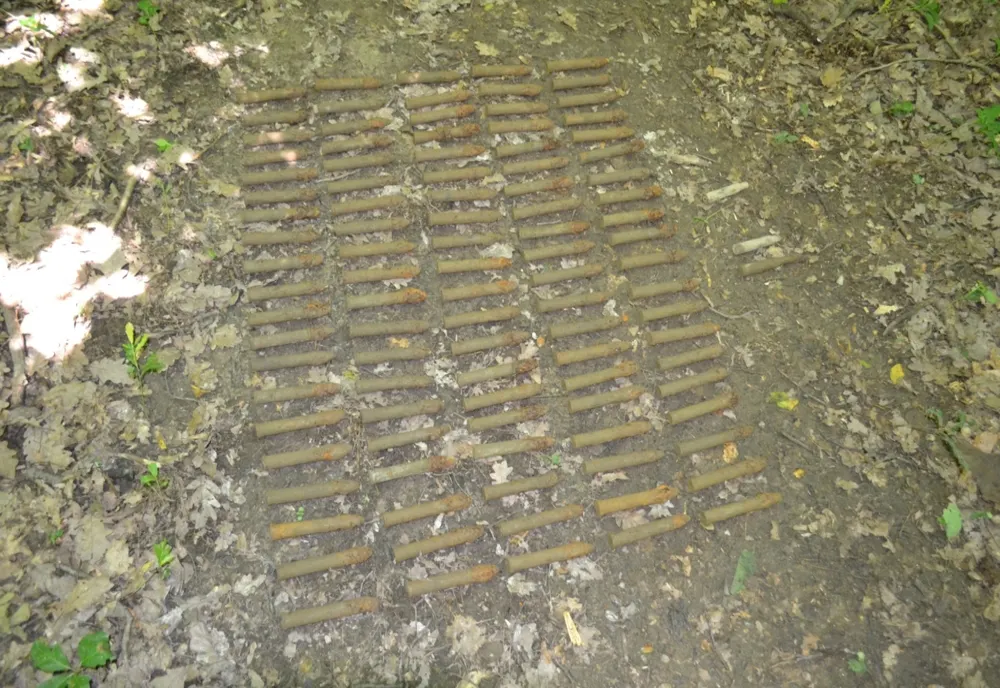 În loc de ciuperci a găsit mai multe elemente de muniție