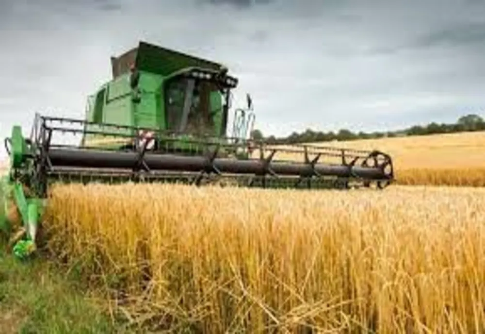 Pachet de sprijin pentru producătorii agricoli şi cei din industria alimentară. Planul Guvernului în fața facturilor fără precedent