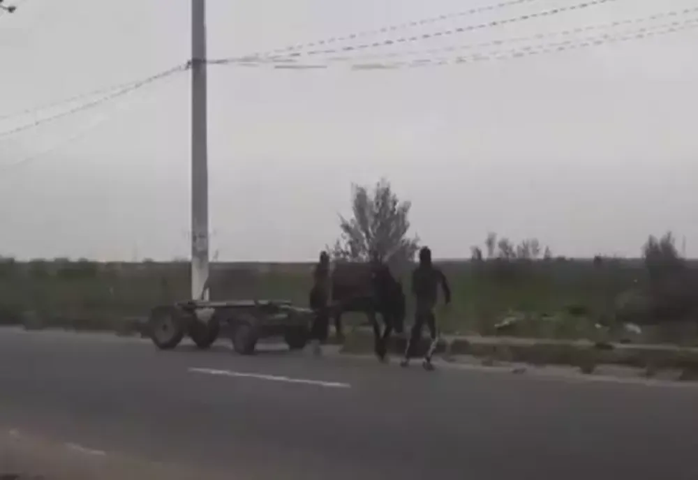 PEDEPSE uriașe pentru persoanele care MALTRATEAZĂ cai! Două incidente șocante de la Iași și Suceava, virale pe internet