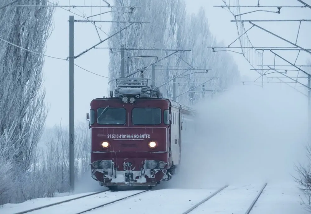 Copacii doborâţi de vânt au blocat trenurile în gări