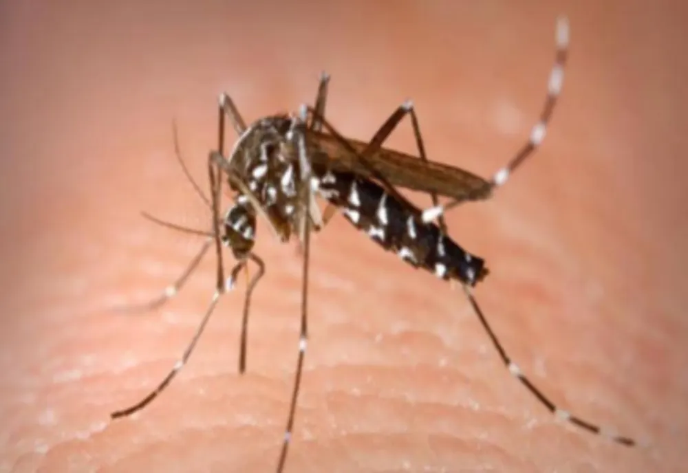 INSP: 43 DE CAZURI DE INFECȚIE CU VIRUSUL WEST NILE, ÎNREGISTRATE DE LA ÎNCEPUTUL LUNII IUNIE