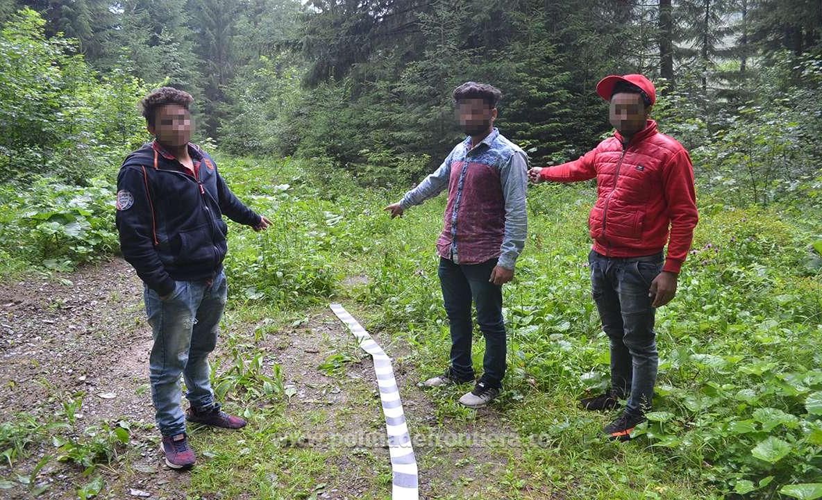 Trei indieni care au trecut ilegal granița, prinși într-o pădure din Suceava
