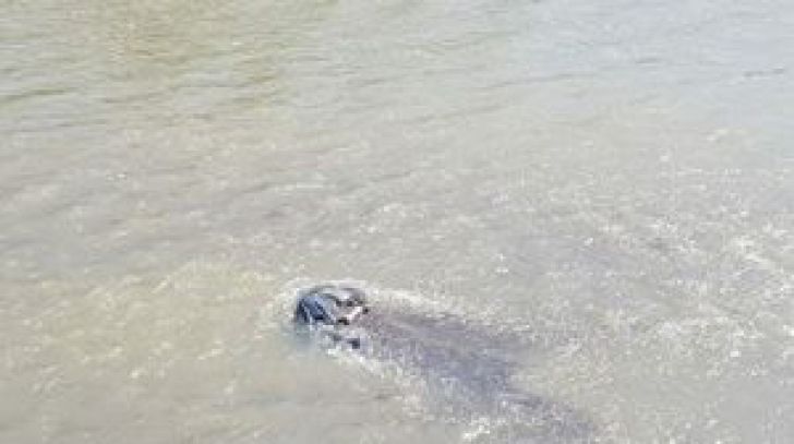 Un bătrân a murit după ce a căzut cu bicicleta de pe o punte în albia unui pârâu