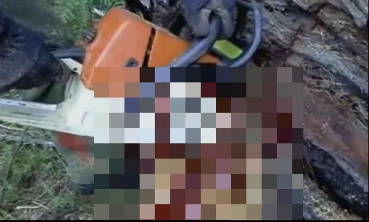 Accident de muncă pe raza localității Moldovița. Un fasonator a ajuns la spital după ce s-a tăiat la picior cu drujba