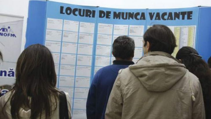 La nivelul județului Suceava rata șomajului la sfârșitul lunii noiembrie a fost de 5,19 la sută