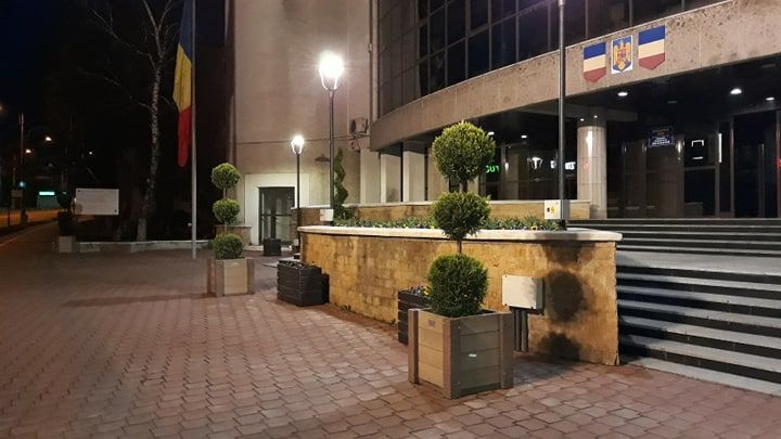 Ghivece cu arbori și arbuști ornamentali amplasate în mai multe zone din municipiul Suceava FOTO