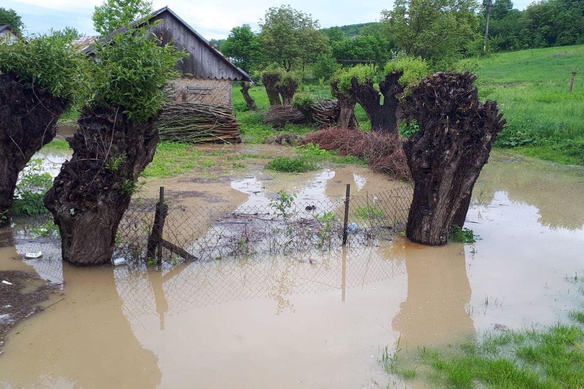 Mai multe curți au fost inundate în Siret și Suceava FOTO