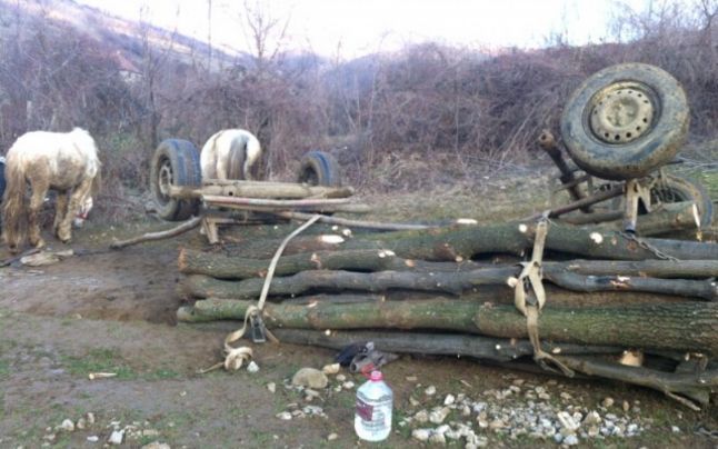 Un tânăr a decedat după ce a fost prins sub o căruță încărcată cu lemne