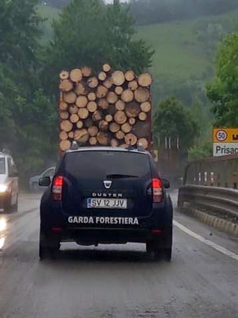 Garda Forestieră Suceava a făcut cercetări în cazul mașinii fotografiată circulând în spatele unui camion cu bușteni