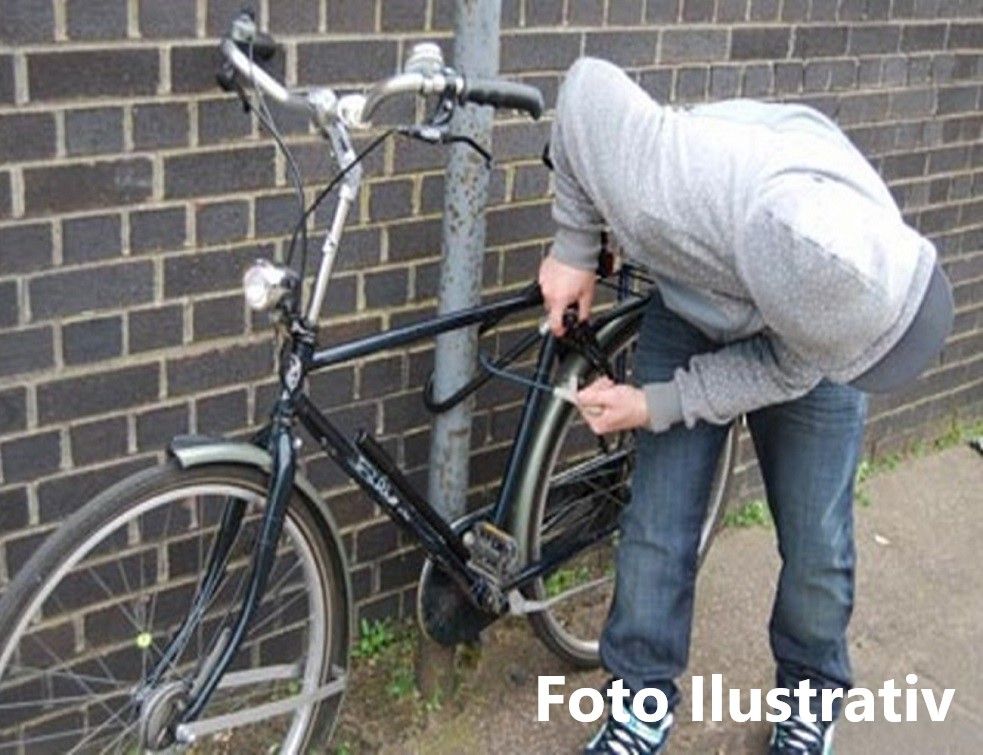 Doi frați au fost reținuți după ce au furat o bicicletă
