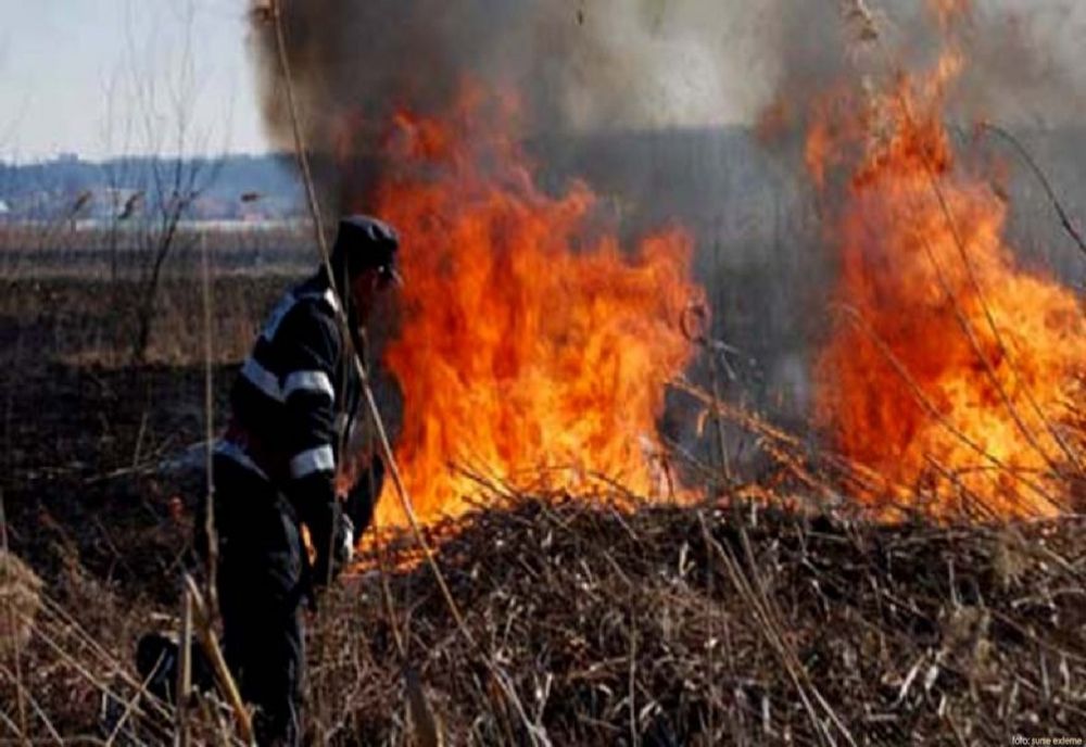 Trupul unui bărbat de 83 de ani, găsit carbonizat după un incendiu de vegetație 