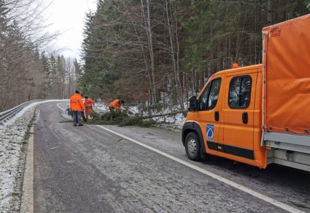 Arbori căzuți pe carosabil pe DN 17 A, în zona Pasului Palma FOTO