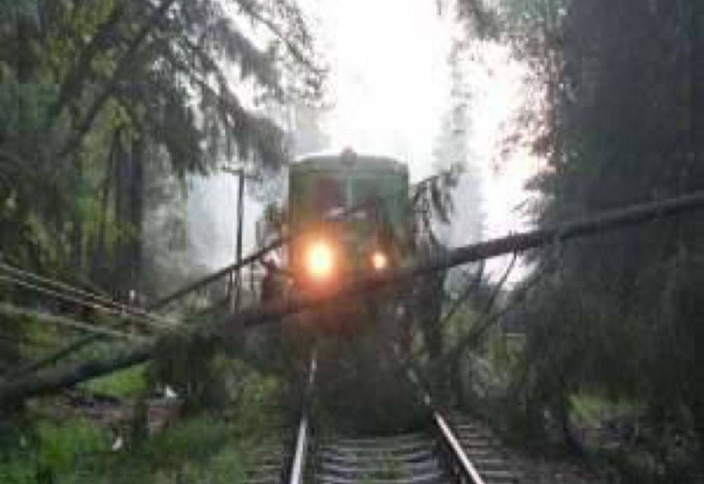 Trafic feroviar blocat în zona Coșna după ce mai mulți copaci au căzut pe calea ferată