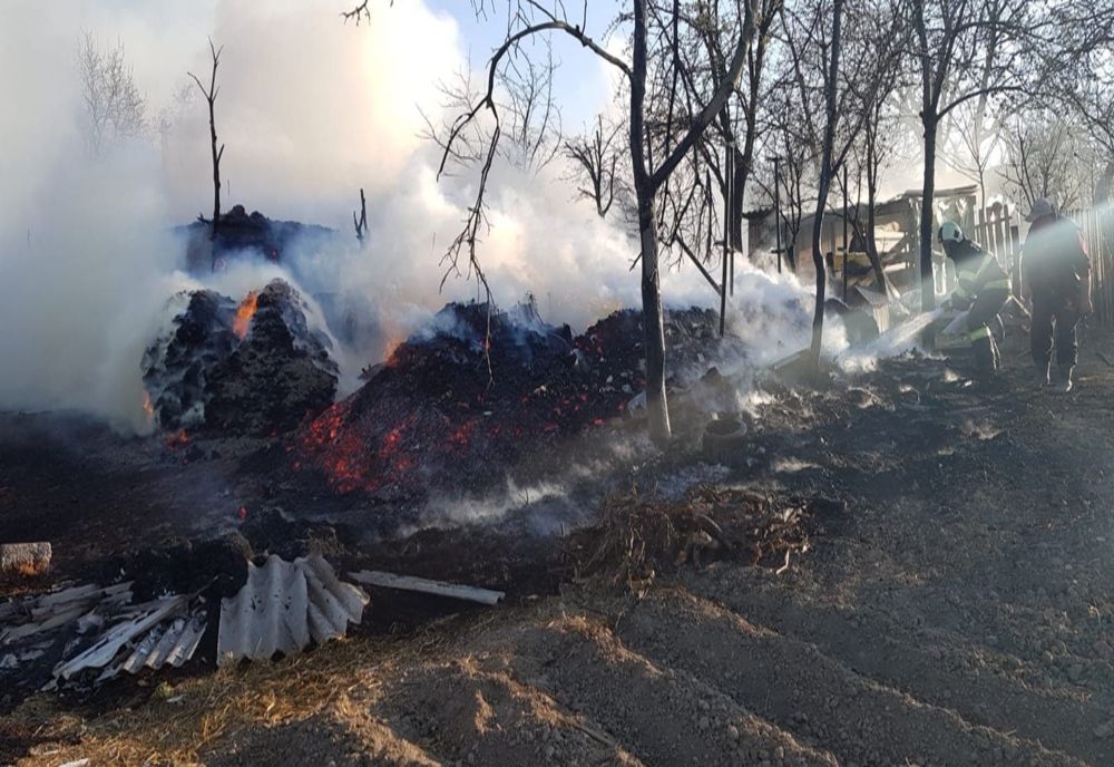 Incendiu violent în satul Probota. De la ce a pornit focul VIDEO