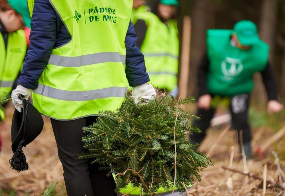 Programul de reîmpădurire Pădurea de Mâine încheie o nouă etapă