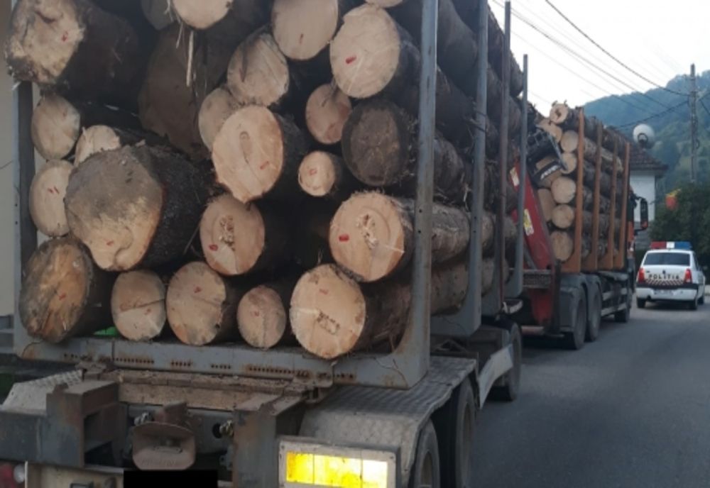 Transporturi ilegale de lemn, depistate în trafic de polițiști