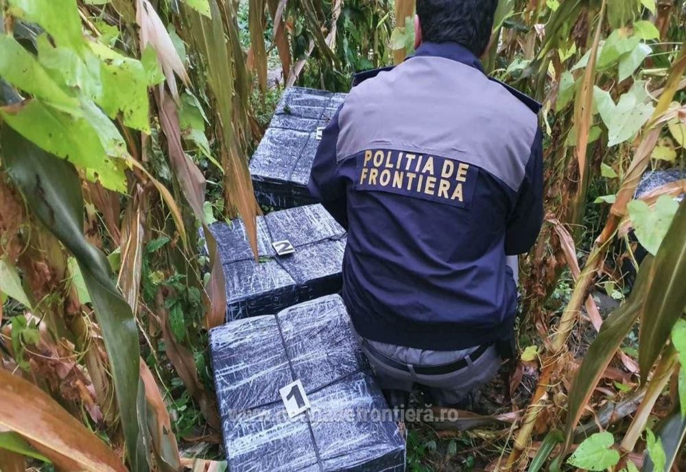 Ţigări de contrabandă în valoare de aproximativ 408.000 lei confiscate la frontiera de nord (FOTO)