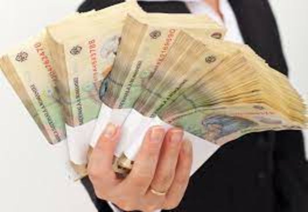 217 milioane de lei pentru 1.488 de societăți din Suceava!