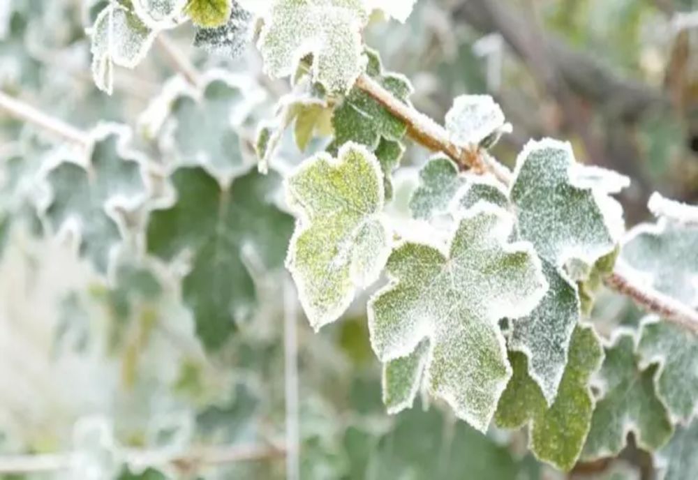 Cum va fi vremea de 1 Decembrie și în mini-vacanță - Meteorologii ANM au făcut anunțul