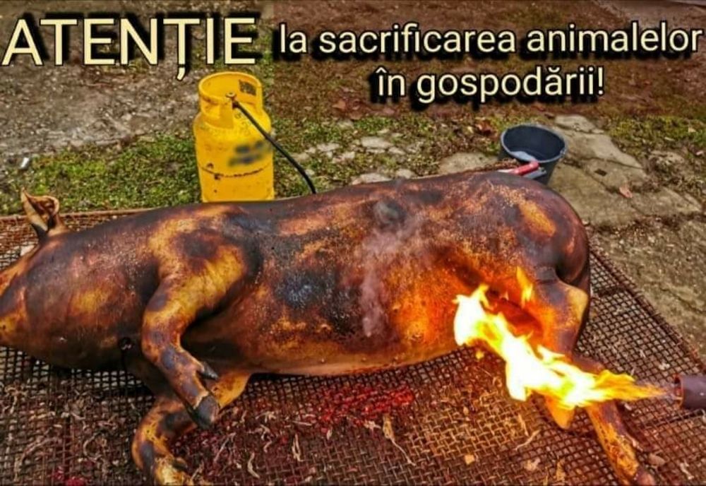 ACCIDENTE de sezon! Recomandările pompierilor
