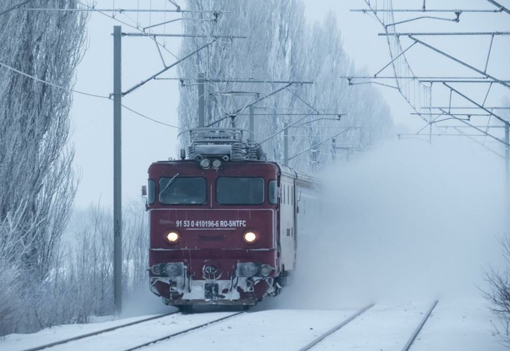 Copacii doborâţi de vânt au blocat trenurile în gări
