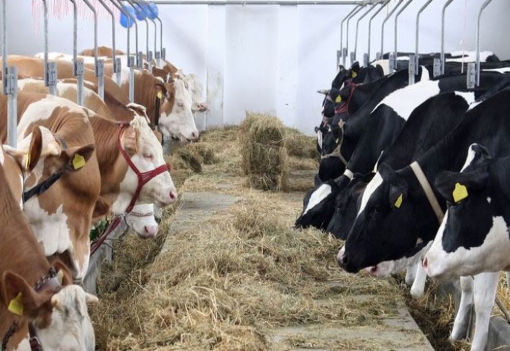 Planul ce accelerează FOAMETEA: 13 țări din lume, inclusiv SUA, au semnat ACORDUL de închidere a fermelor