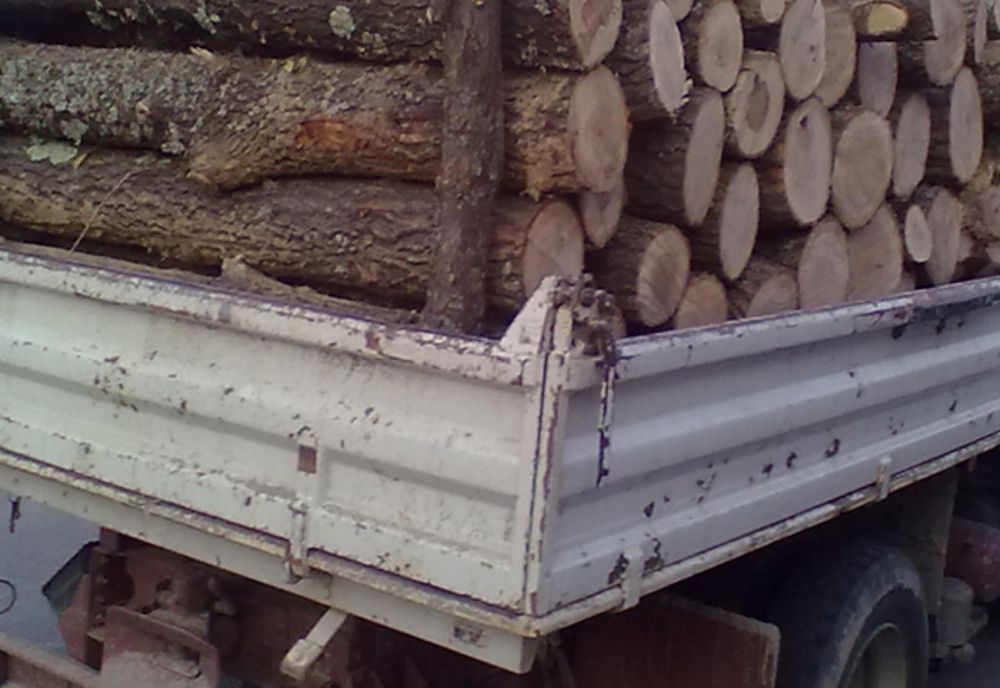 Cherestea, bușteni, grinzi și material lemnos de foc în valoare de peste 15.000 lei confiscate de polițiști după controale în trafic pe linia prevenirii delictelor silvice