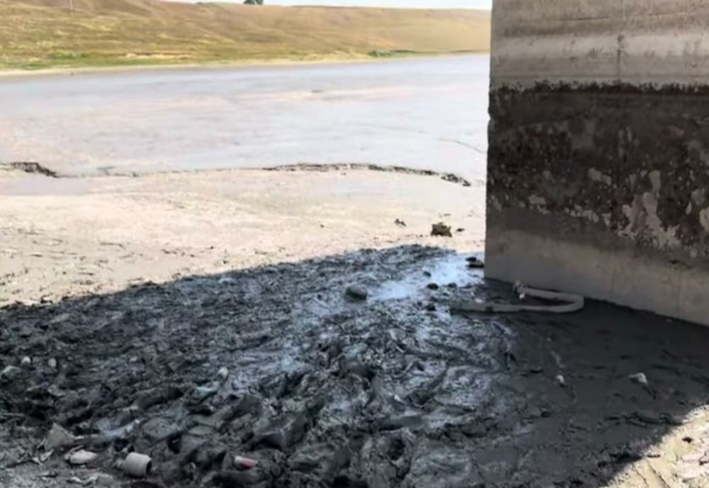 Dezastru ecologic în județul Suceava - Un iaz a secat din cauza caniculei. Localnicii sunt exasperați din cauza mirosului de pește putrezit