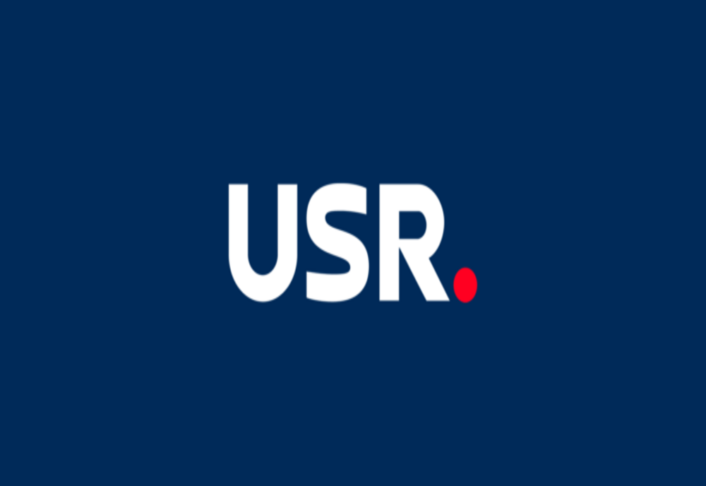 SENATUL A RESPINS PROPUNEREA USR PRIVIND MAI MULȚI PARLAMENTARI PENTRU DIASPORA