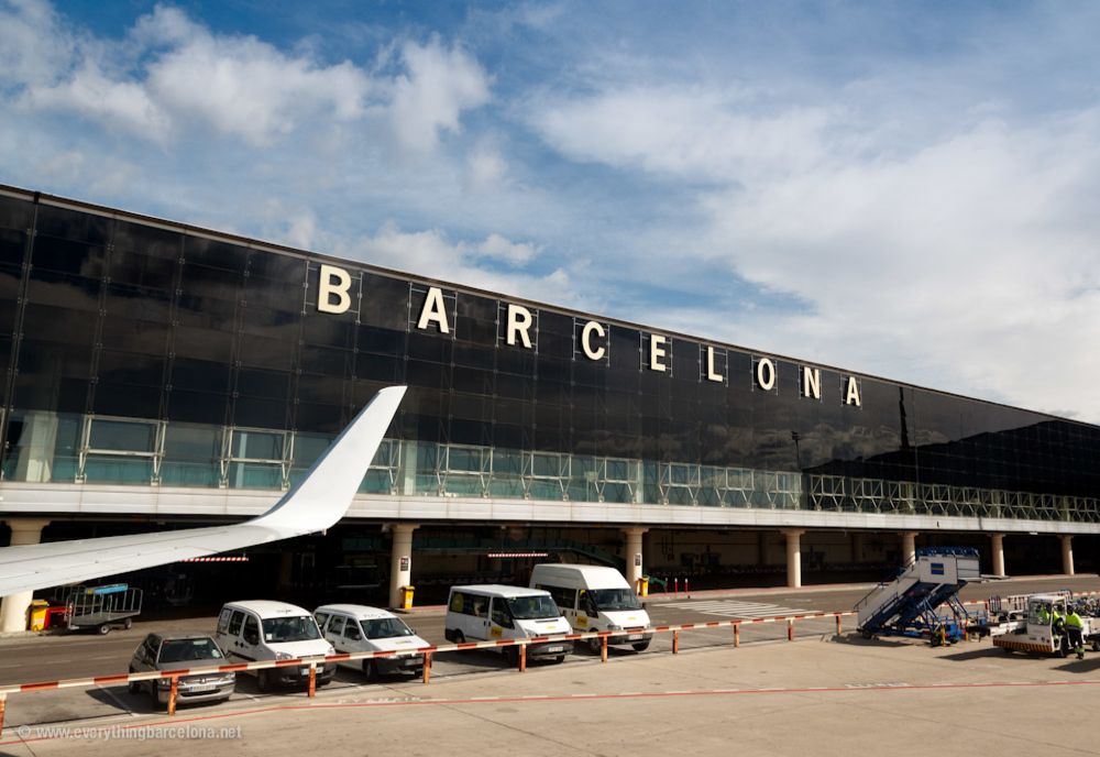 Catalonia închide Parcul Collserola după confirmarea pestei porcine africane la mistreți. Restricții extinse în zeci de localități