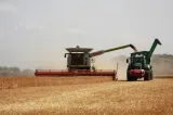 Semnal de alarmă în agricultură. 3,5 milioane de fermieri pot fi afectați de strategia pentru conservarea biodiversității
