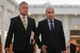 SURSE Adrian Veștea va candida împotriva lui Ilie Bolojan pentru conducerea partidului