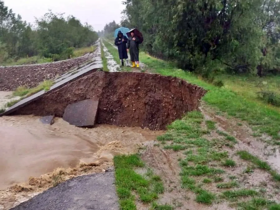 dig-rupt-berchisesti-30iunie2018-02